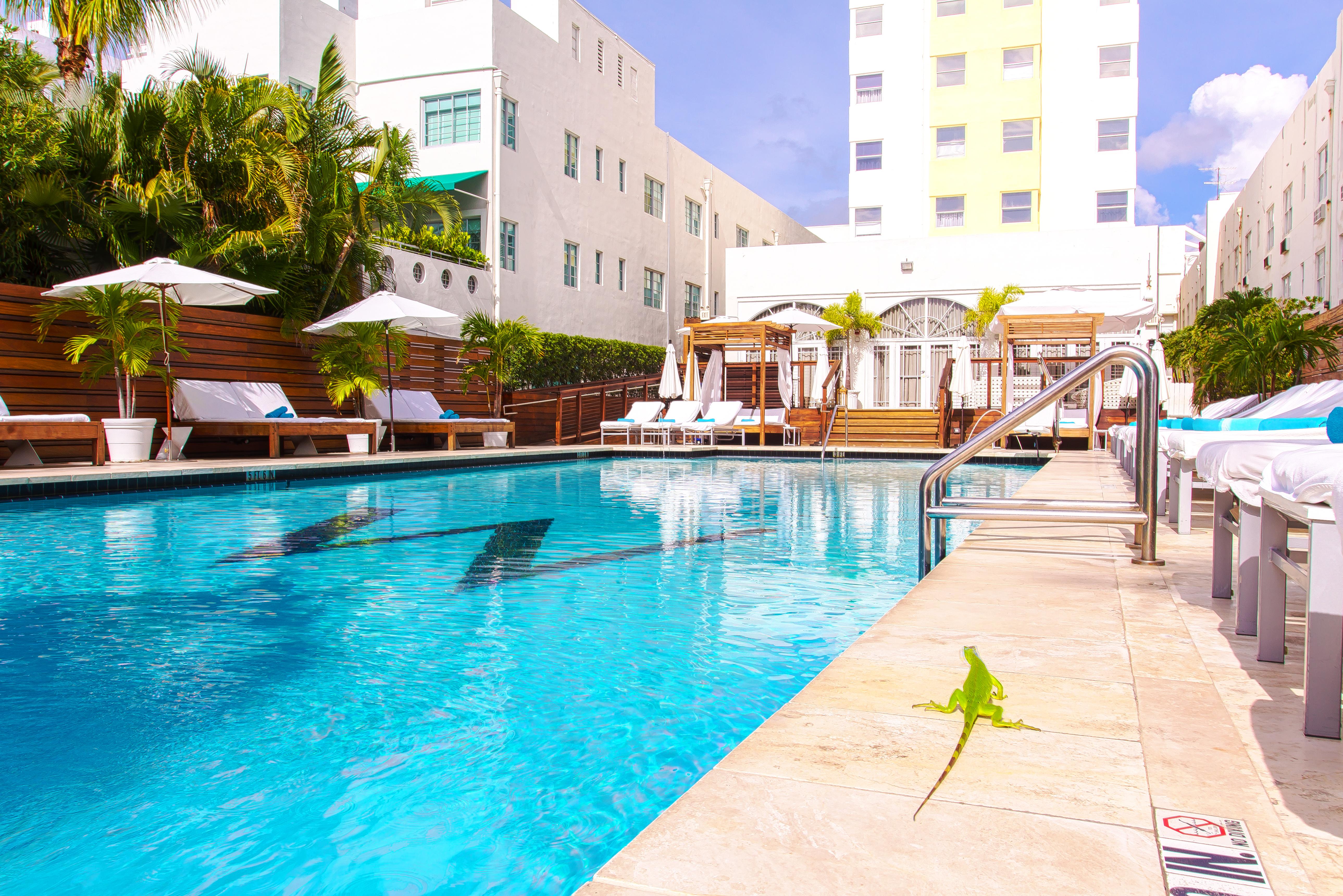 Marseilles Beachfront Hotel — Fotos 1